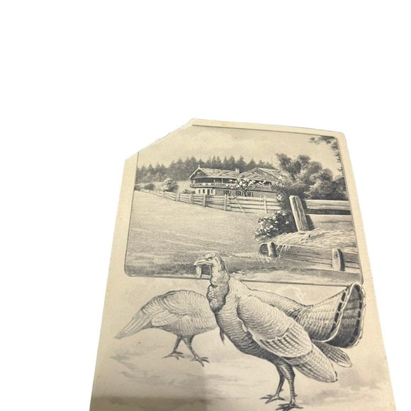 Vintage Postcard Lot - Thanksgiving Post Cards - Picture 4 of 8